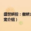 盛世妍控：傲娇太子心尖宠（关于盛世妍控：傲娇太子心尖宠介绍）