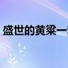 盛世的黄粱一梦（关于盛世的黄粱一梦介绍）