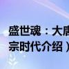 盛世魂：大唐玄宗时代（关于盛世魂：大唐玄宗时代介绍）