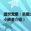 盛世宠爱:总裁大佬的小娇妻(关于盛世宠爱:总裁大佬的小娇妻介绍) 盛世宠爱:总裁大佬的小娇妻(关于盛世宠爱:总裁大佬的小娇妻介绍)