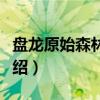 盘龙原始森林公园（关于盘龙原始森林公园介绍）