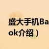 盛大手机Bambook（关于盛大手机Bambook介绍）