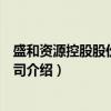 盛和资源控股股份有限公司（关于盛和资源控股股份有限公司介绍）