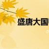 盛唐大国师（关于盛唐大国师介绍）