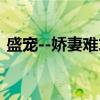 盛宠--娇妻难求(关于盛宠--娇妻难求介绍) 盛宠--娇妻难求(关于盛宠--娇妻难求介绍)