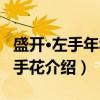 盛开·左手年华右手花（关于盛开·左手年华右手花介绍）