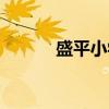 盛平小学（关于盛平小学介绍）
