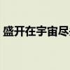 盛开在宇宙尽头（关于盛开在宇宙尽头介绍）