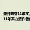 盛开萌芽11年实力派作者作品范本：散文卷（关于盛开萌芽11年实力派作者作品范本：散文卷介绍）