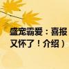 盛宠霸爱：喜报 夫人又怀了！（关于盛宠霸爱：喜报 夫人又怀了！介绍）