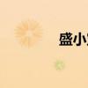 盛小宝（关于盛小宝介绍）