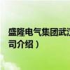 盛隆电气集团武汉有限公司（关于盛隆电气集团武汉有限公司介绍）