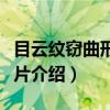 目云纹窃曲形金饰片（关于目云纹窃曲形金饰片介绍）