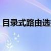 目录式路由选择(关于目录式路由选择介绍) 目录式路由选择(关于目录式路由选择介绍)
