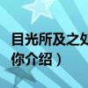 目光所及之处皆是你（关于目光所及之处皆是你介绍）