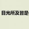 目光所及皆是你（关于目光所及皆是你介绍）