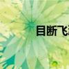 目断飞鸿（关于目断飞鸿介绍）