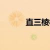 直三棱柱（关于直三棱柱介绍）