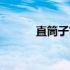 直筒子市（关于直筒子市介绍）