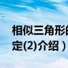 相似三角形的判定(2)（关于相似三角形的判定(2)介绍）
