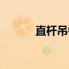 直杆吊钩（关于直杆吊钩介绍）