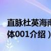 直脉杜英海南个体001（关于直脉杜英海南个体001介绍）