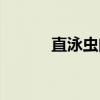 直泳虫门（关于直泳虫门介绍）