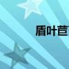 盾叶苣苔（关于盾叶苣苔介绍）