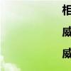 相望|威擎同人（关于相望|威擎同人介绍）