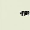 相鹤经（关于相鹤经介绍）