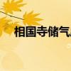 相国寺储气库（关于相国寺储气库介绍）