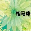 相马康一（关于相马康一介绍）