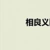 相良义阳（关于相良义阳介绍）