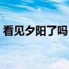看见夕阳了吗?(关于看见夕阳了吗?介绍) 看见夕阳了吗?(关于看见夕阳了吗?介绍)