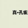 真·孔雀王（关于真·孔雀王介绍）