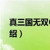 真三国无双6帝国（关于真三国无双6帝国介绍）
