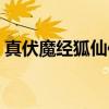 真伏魔经狐仙传（关于真伏魔经狐仙传介绍）