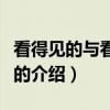 看得见的与看不见的（关于看得见的与看不见的介绍）