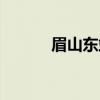 眉山东站（关于眉山东站介绍）