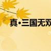 真·三国无双8（关于真·三国无双8介绍）