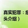 真实犯罪：纽约街头（关于真实犯罪：纽约街头介绍）