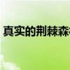 真实的荆棘森林（关于真实的荆棘森林介绍）