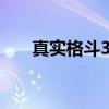 真实格斗3D（关于真实格斗3D介绍）