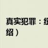 真实犯罪：纽约城（关于真实犯罪：纽约城介绍）