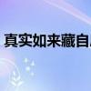 真实如来藏自序（关于真实如来藏自序介绍）