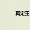真定王国（关于真定王国介绍）