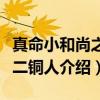 真命小和尚之十二铜人（关于真命小和尚之十二铜人介绍）