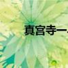 真宫寺一马（关于真宫寺一马介绍）