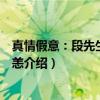 真情假意：段先生别来无恙（关于真情假意：段先生别来无恙介绍）