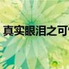 真实眼泪之可怖（关于真实眼泪之可怖介绍）